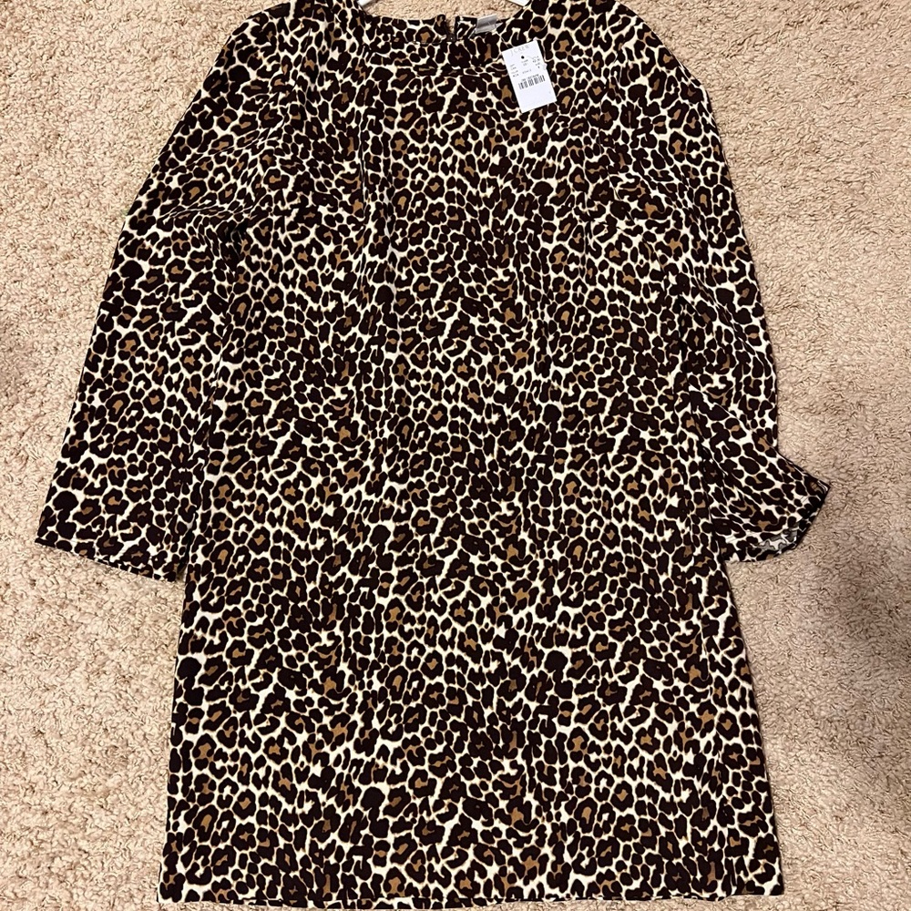 NWT J Crew dress